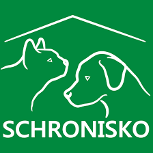 Dekoracja